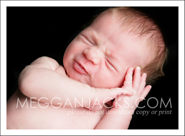 phoenix newborn portraits