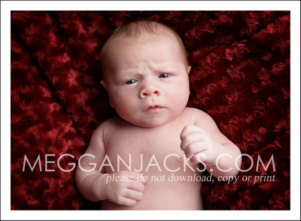 Scottsdale Baby portrait