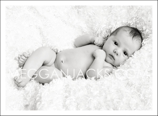 Phoenix baby photographer, Scottsdale newborn portrait