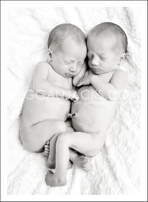 scottsdale newborn twin photographer