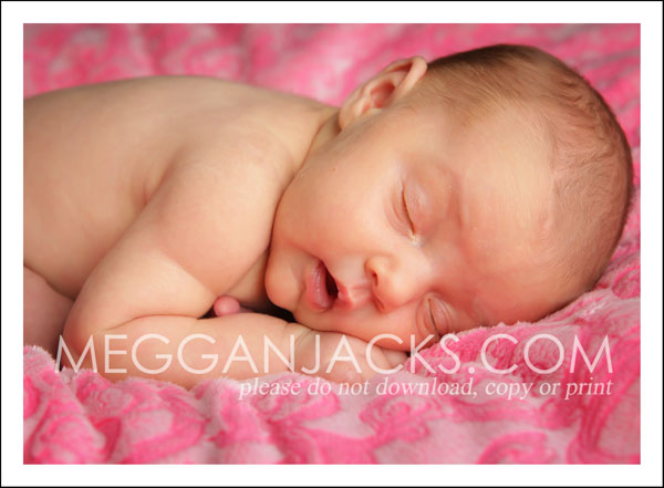 phoenix newborn photographer