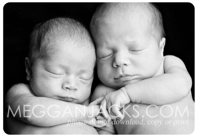  chandler newborn photographer, baby photographer