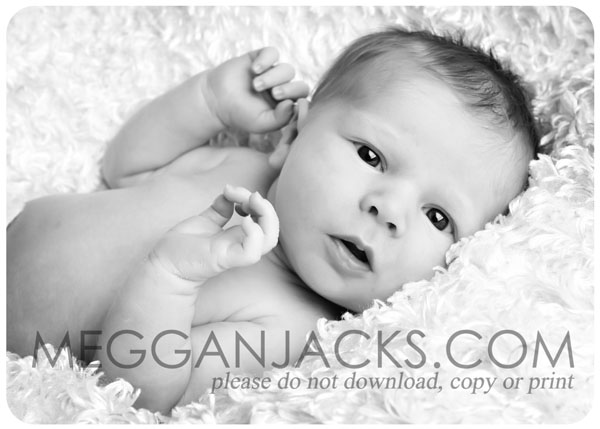 newborn photographer, newborn portraits, baby photographer