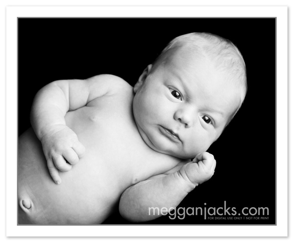 newborn photographer