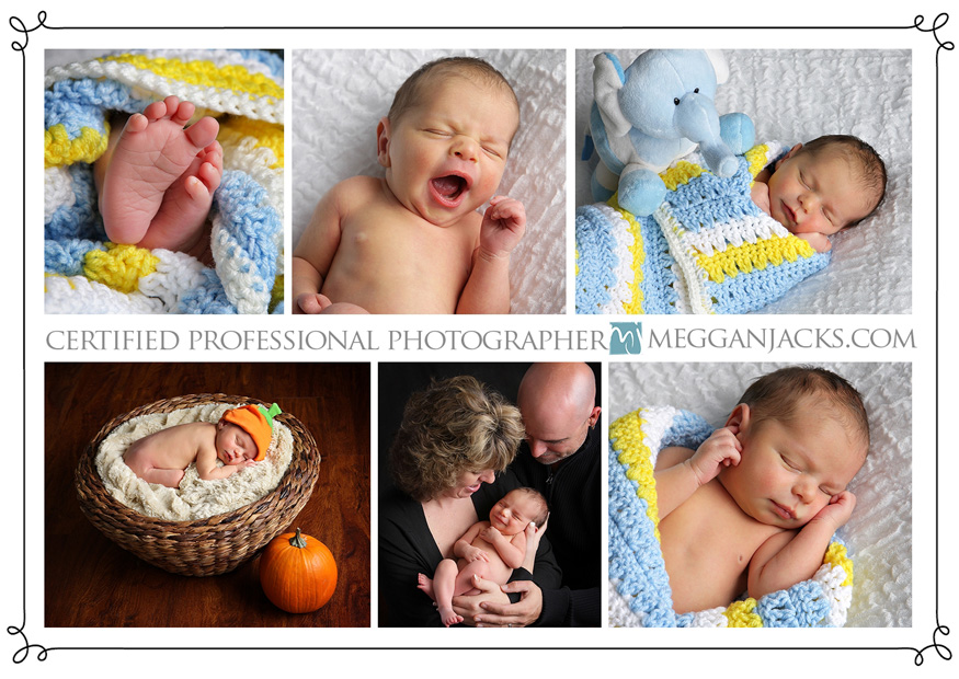 newborn photographer, newborn portraits, baby portraits