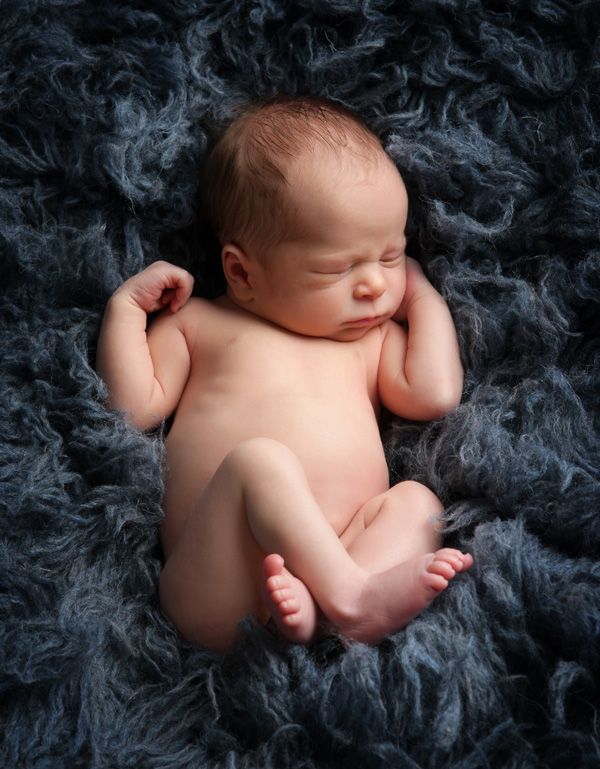 professional newbor baby portrait photographer