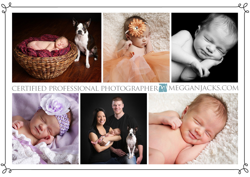 phoenix newborn photographer, newborn baby portraits