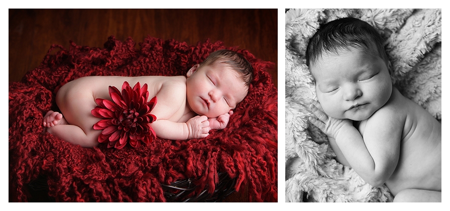 newborn, portraits, infant, baby, photography