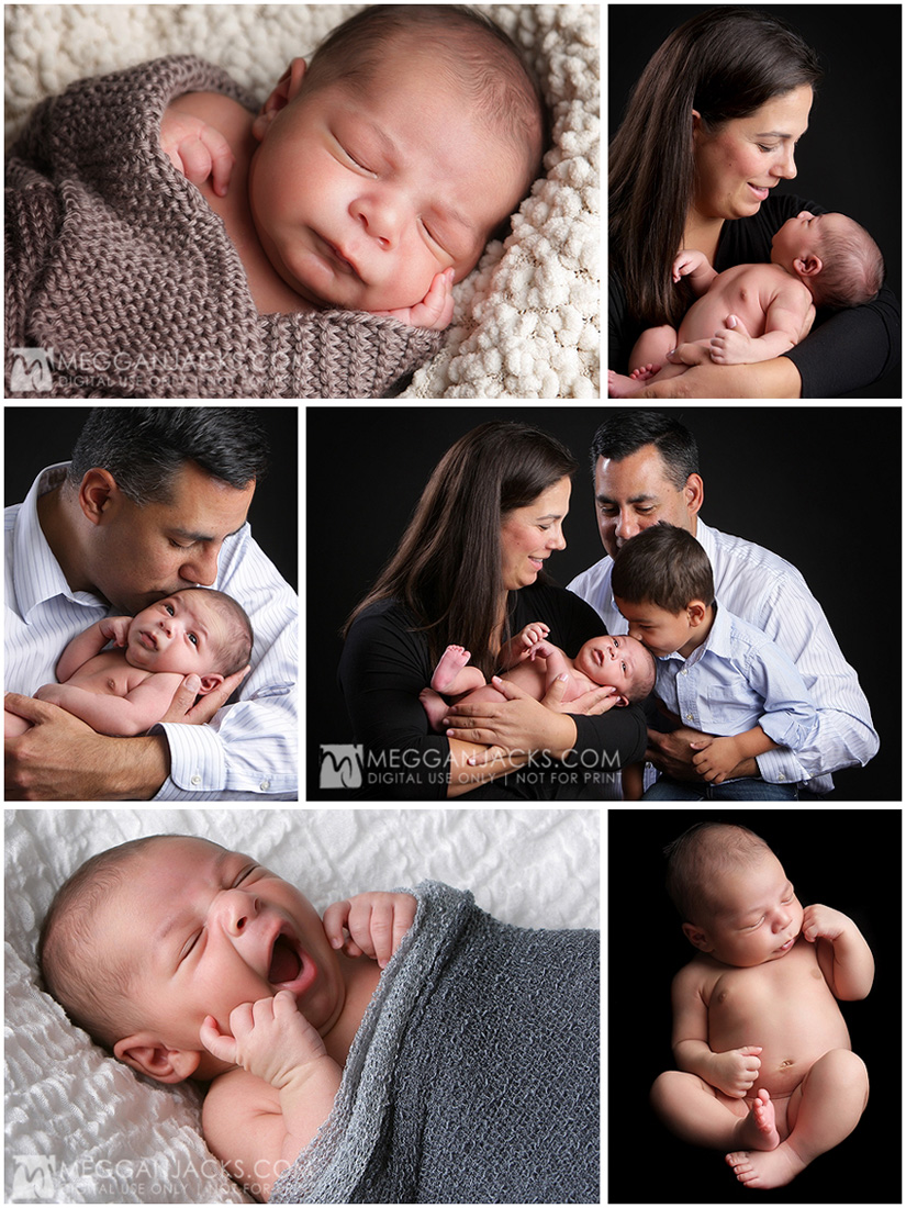 newborn portraits done in a professional photography studio