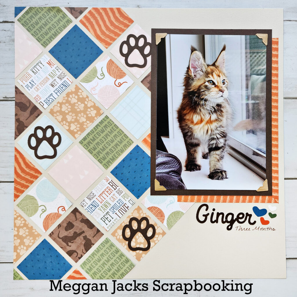 Shop My Creative Memories Inventory - Meggan Jacks Scrapbooking