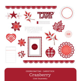 Vivid Melodies 2 Embellishments - Cranberry