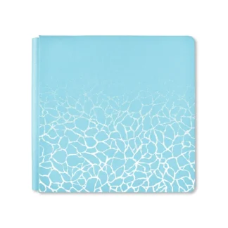 Poolside 12x12 Robin Egg Blue Album Cover